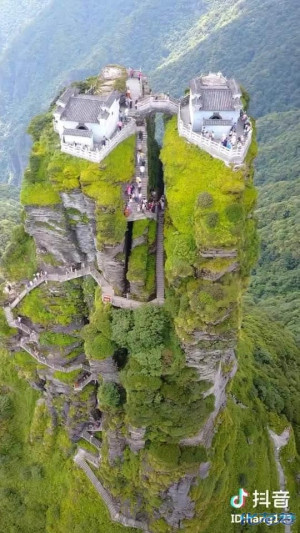 登录/注册后可看大图