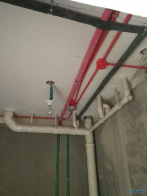 登录/注册后可看大图