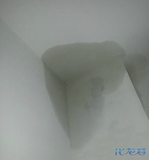 登录/注册后可看大图