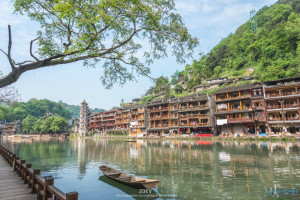 登录/注册后可看大图