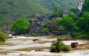 登录/注册后可看大图