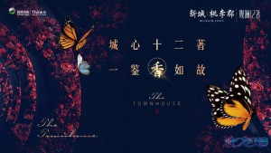 登录/注册后可看大图