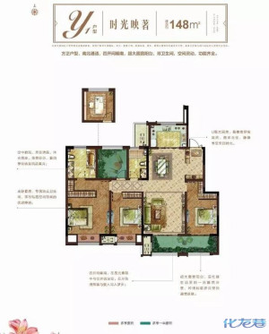 登录/注册后可看大图
