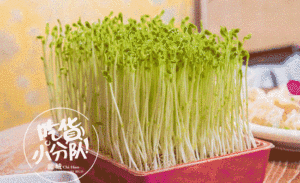 登录/注册后可看大图