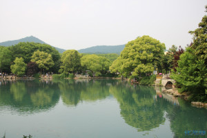 登录/注册后可看大图
