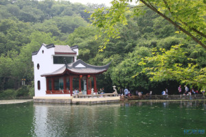 登录/注册后可看大图