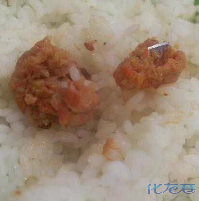 食品卫生是不可能的,都说外卖很脏,可学校食堂