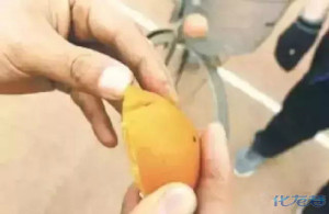 登录/注册后可看大图