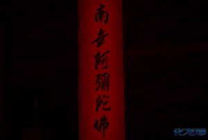登录/注册后可看大图