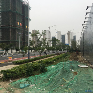 登录/注册后可看大图