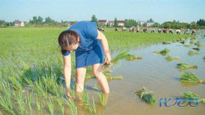 登录/注册后可看大图
