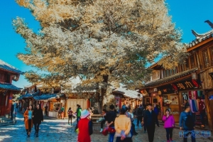登录/注册后可看大图