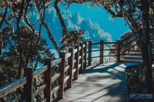 登录/注册后可看大图