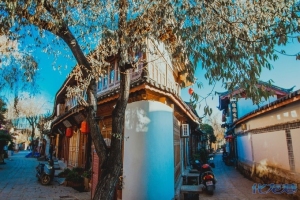 登录/注册后可看大图