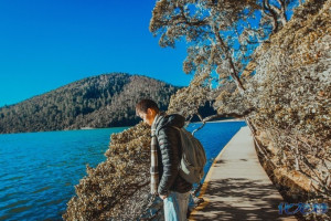 登录/注册后可看大图