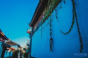 登录/注册后可看大图