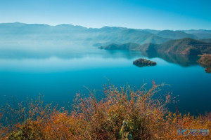 登录/注册后可看大图