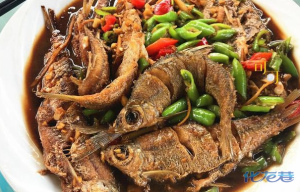 登录/注册后可看大图