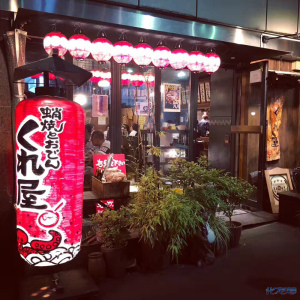 登录/注册后可看大图