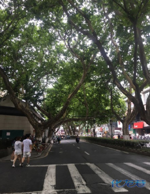 登录/注册后可看大图