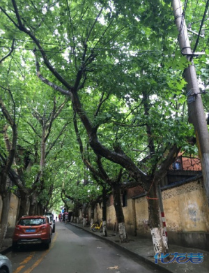 登录/注册后可看大图