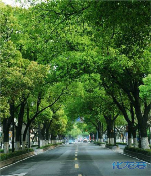 登录/注册后可看大图