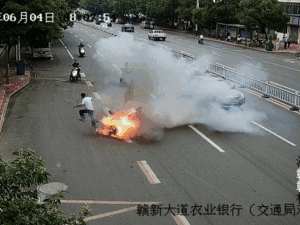 登录/注册后可看大图