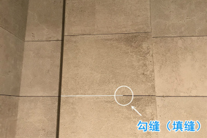 登录/注册后可看大图