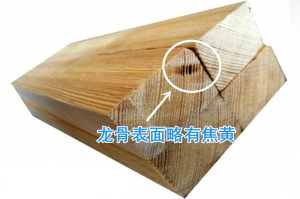 登录/注册后可看大图