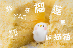 登录/注册后可看大图