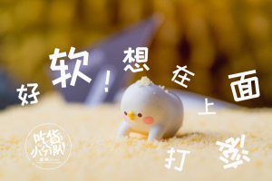 登录/注册后可看大图