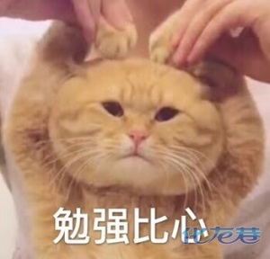 登录/注册后可看大图
