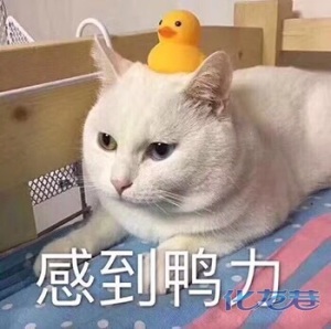 登录/注册后可看大图
