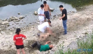 登录/注册后可看大图
