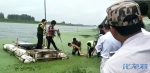 登录/注册后可看大图