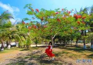 登录/注册后可看大图