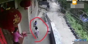 登录/注册后可看大图