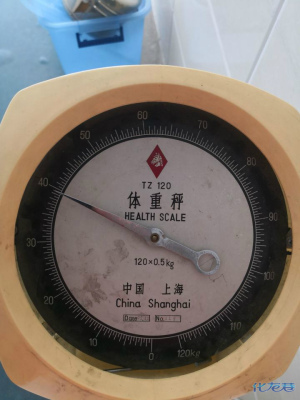 登录/注册后可看大图