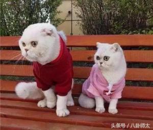 登录/注册后可看大图