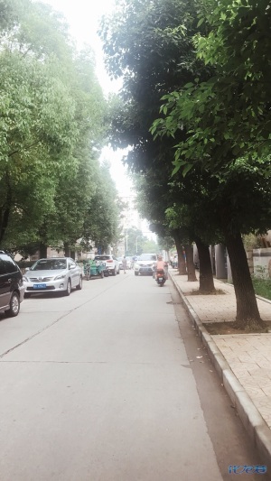 登录/注册后可看大图