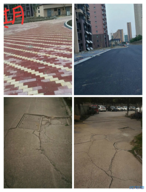 登录/注册后可看大图
