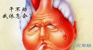 登录/注册后可看大图