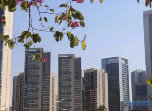 登录/注册后可看大图