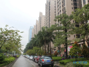 登录/注册后可看大图