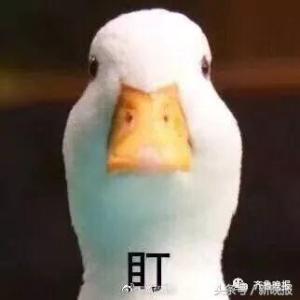 登录/注册后可看大图