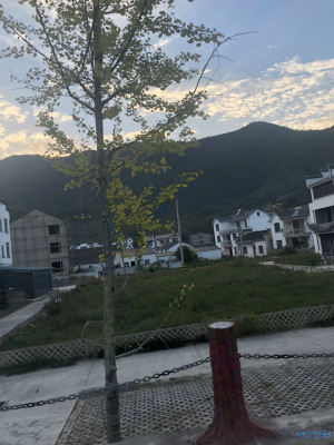 登录/注册后可看大图