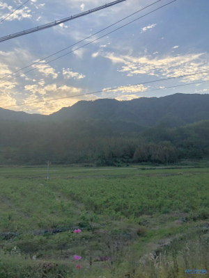 登录/注册后可看大图