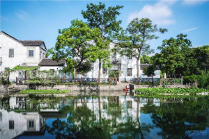 登录/注册后可看大图