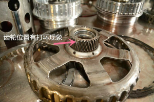 登录/注册后可看大图