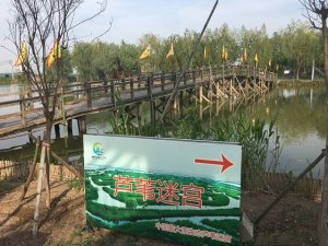 登录/注册后可看大图